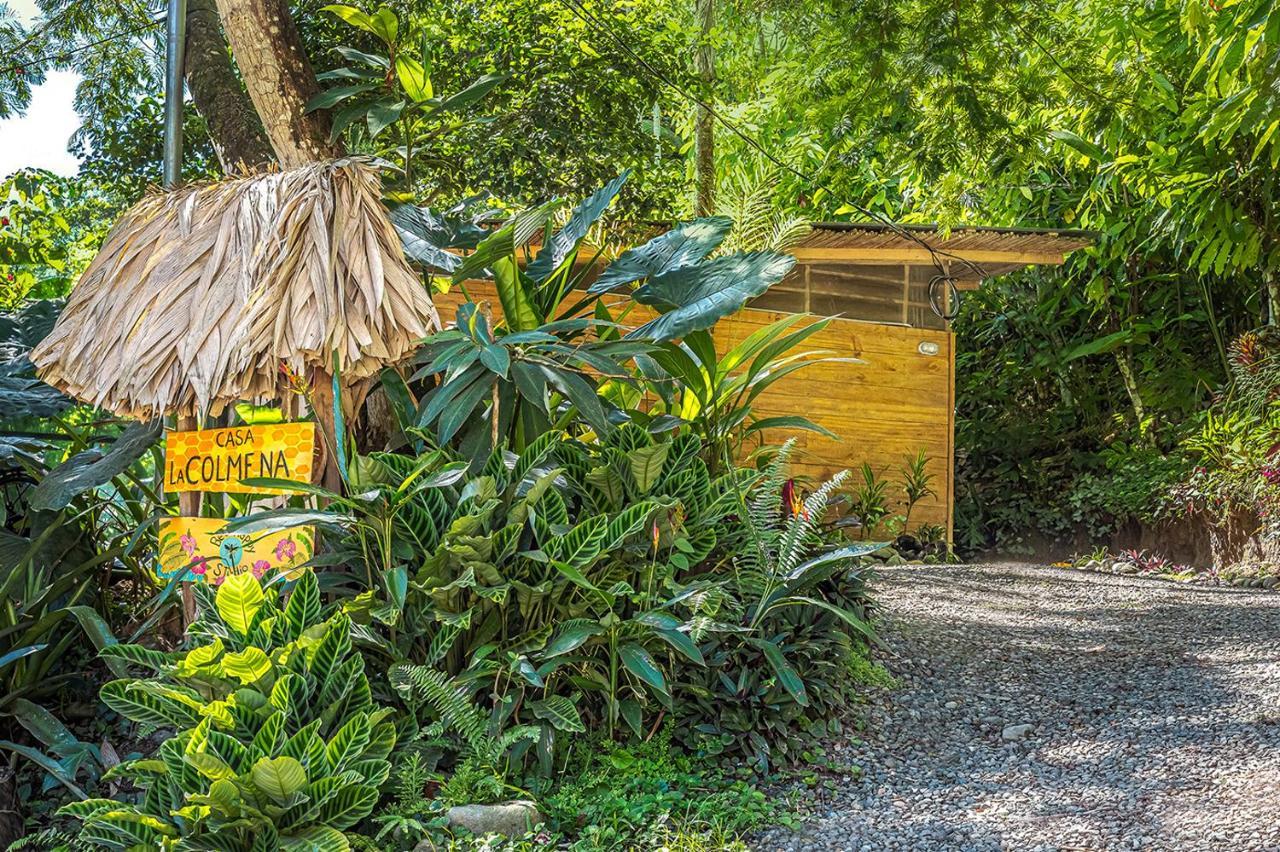 Bee Happy Studio Cahuita Exteriér fotografie