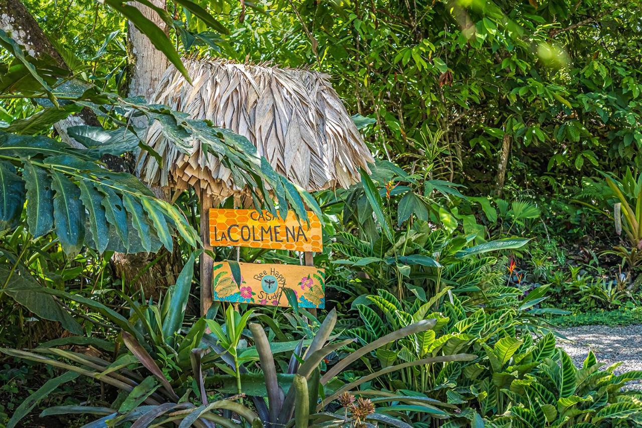 Bee Happy Studio Cahuita Exteriér fotografie